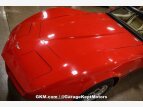 Thumbnail Photo 43 for 1980 Chevrolet Corvette